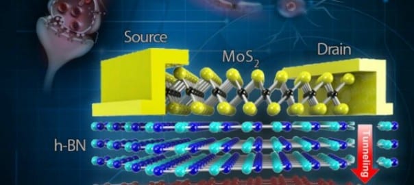 Researchers develop brain-inspired memory device for flexible electronics