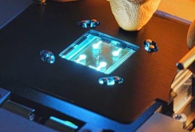 Cynora develops new material classes