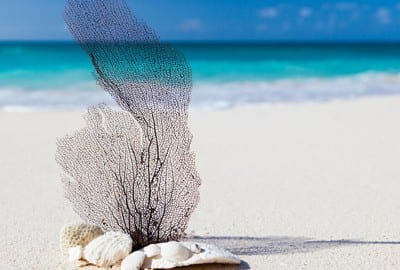 VR app sends users to exotic locales to meditate