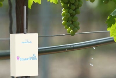 Sensor system uses internet to maximise irrigation efficiency