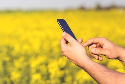 State-wide network will help farmers live off the LAN